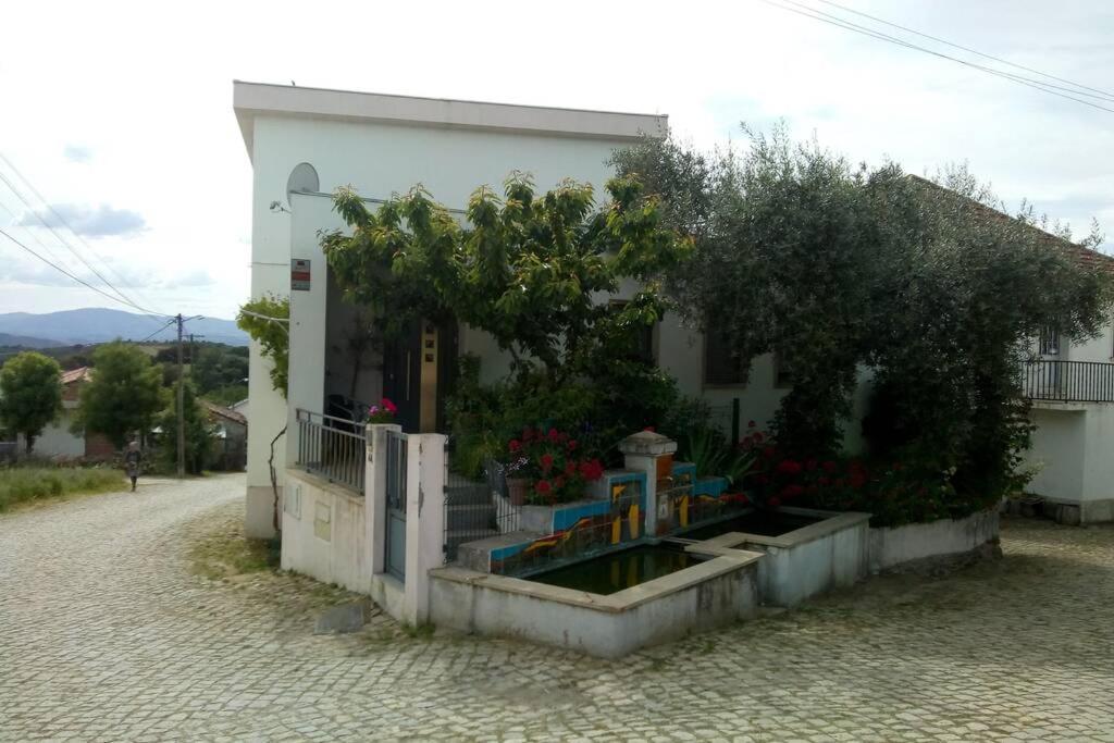 Апартаменты Casa Da Oliveira Milhao Экстерьер фото